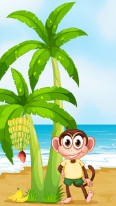 微笑着的一只猴子，香蕉植株附近的海滩
