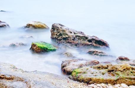 海洋海岸