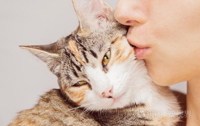 女人亲吻一只猫