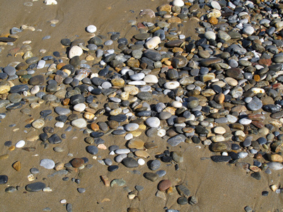 与海卵石砂