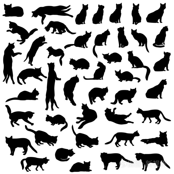 猫剪影集