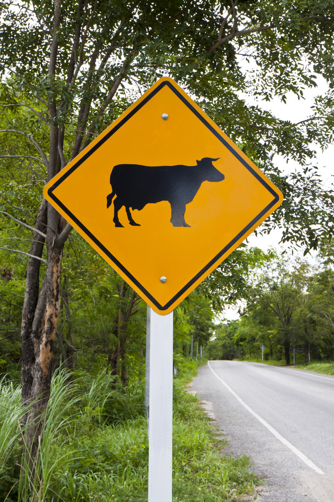 全民反恐 共创安全