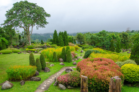 五颜六色的小花，小山上美丽的花园