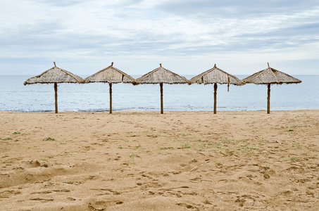 从一根芦苇在荒凉的海滩上到克里米亚的海滩伞