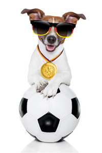 巴西国际足联世界杯狗