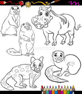 动物套卡通绘本