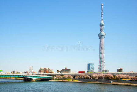 东京天空树