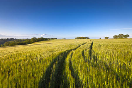 壮观的天空，田园诗般的田园风光，英国科茨沃尔德