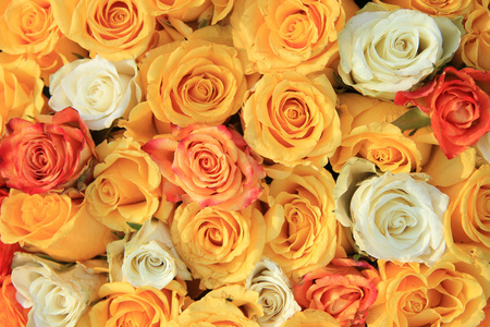 黄色和白色的玫瑰婚礼的安排
