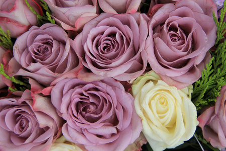 在婚礼的安排的紫玫瑰
