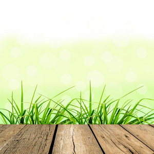 春绿草与绿色景和阳光和木地板