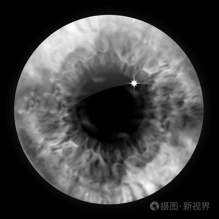 灰色的眼睛瞳孔宏.矢量