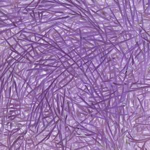 画紫色草的背景