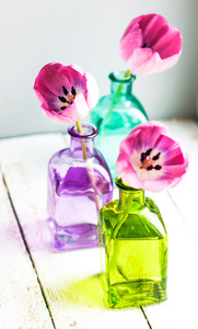 在白色背景上的彩色花瓶的粉红色郁金香