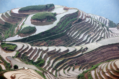 龙脊梯田中国