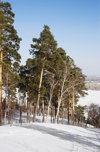 松坡上