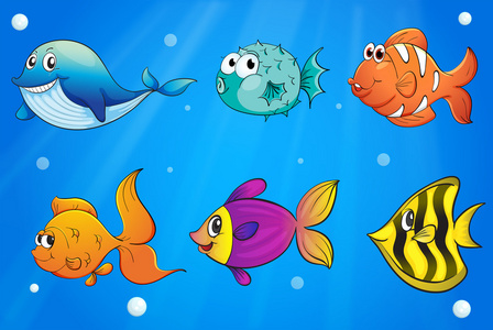 不同种类的鱼在海底