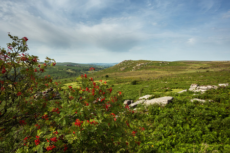 霍尔 tor