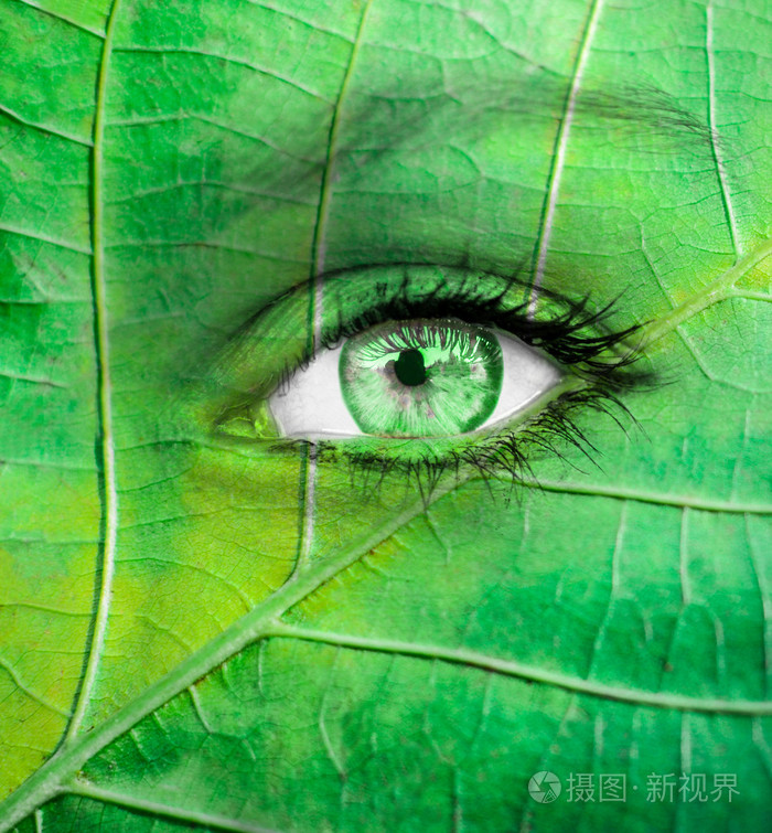 绿眼睛-生态学概念