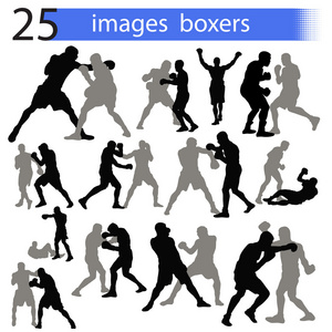 25 张图片拳击手