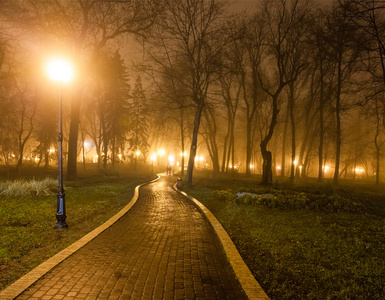 在晚上的城市公园的林荫道