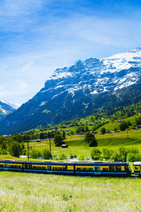 火车穿越阿尔卑斯山绿野