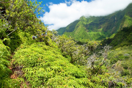 在夏威夷毛伊岛上 iao 谷州立公园