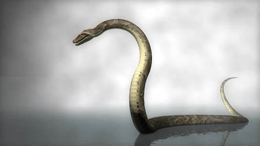 大幻想 python