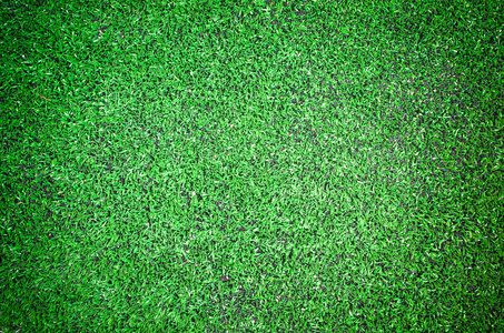 美丽的深绿色草地纹理