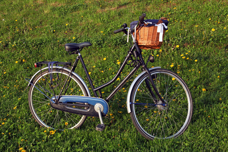 在草地上的老式自行车