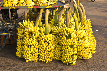 印度香蕉