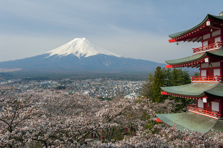 与富士山为背景的红色宝塔