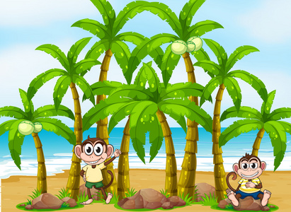 椰子树和猴子海滩