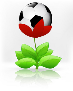 足球球朵红色的花盛开