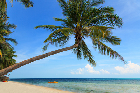 椰子树和热带海滩