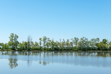 淹水稻田洛梅利纳意大利