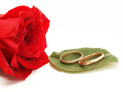 结婚戒指和白色背景上的玫瑰