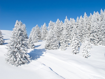 滑雪坡