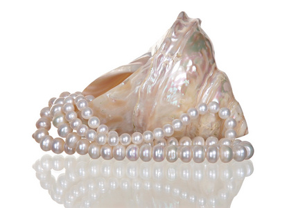 在白色背景上的贝壳中的珍珠项链