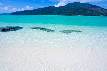 海滩和热带海