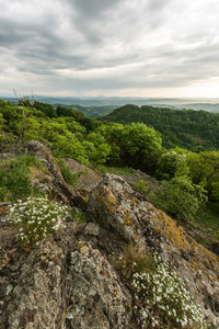 山风景