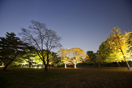 韩国景福宫的夜景图片