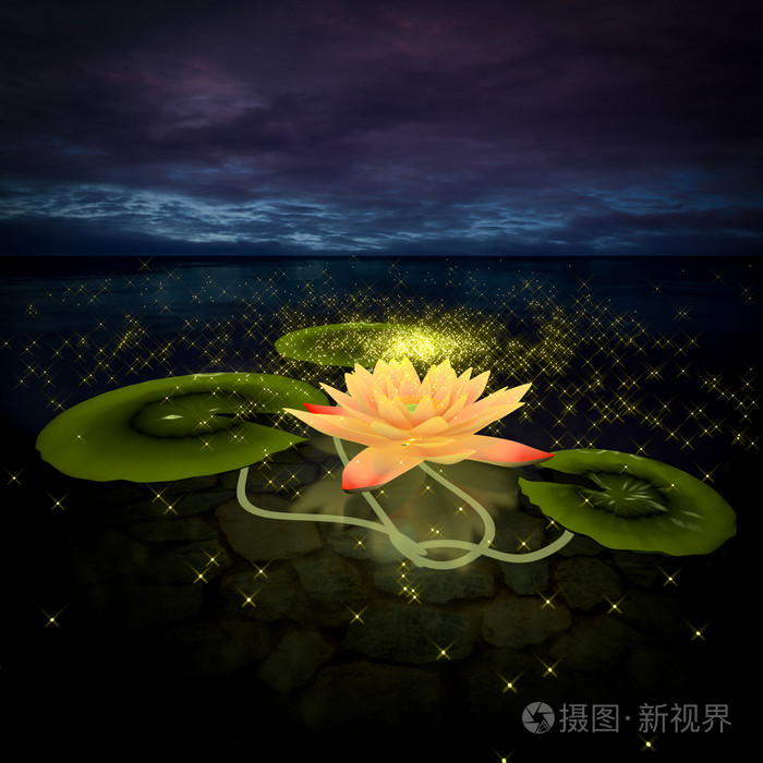 3d莲花