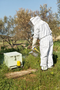 养蜂人在他的消毒工作