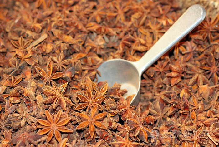 八角茴香果实和种子