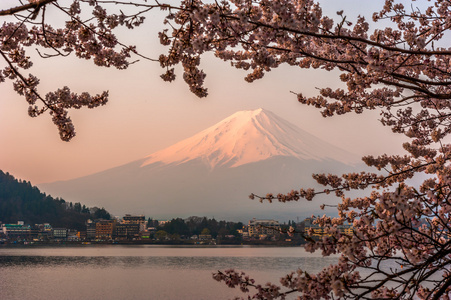 富士山，富士山查看从河口湖，日本与雪儿