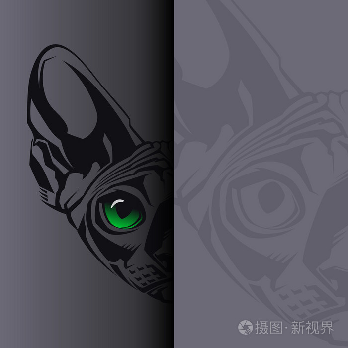 在黑色背景上的无毛的斯芬克斯猫的特写肖像.矢量图