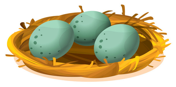 三个鸡蛋官燕图片