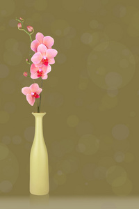 粉色兰花插在花瓶里孤立