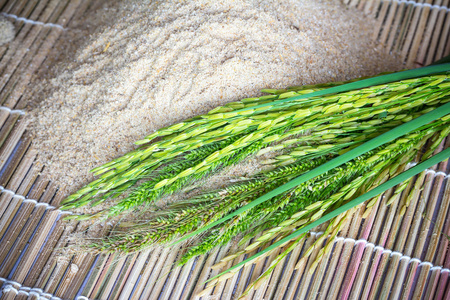 小麦麸皮和稻田